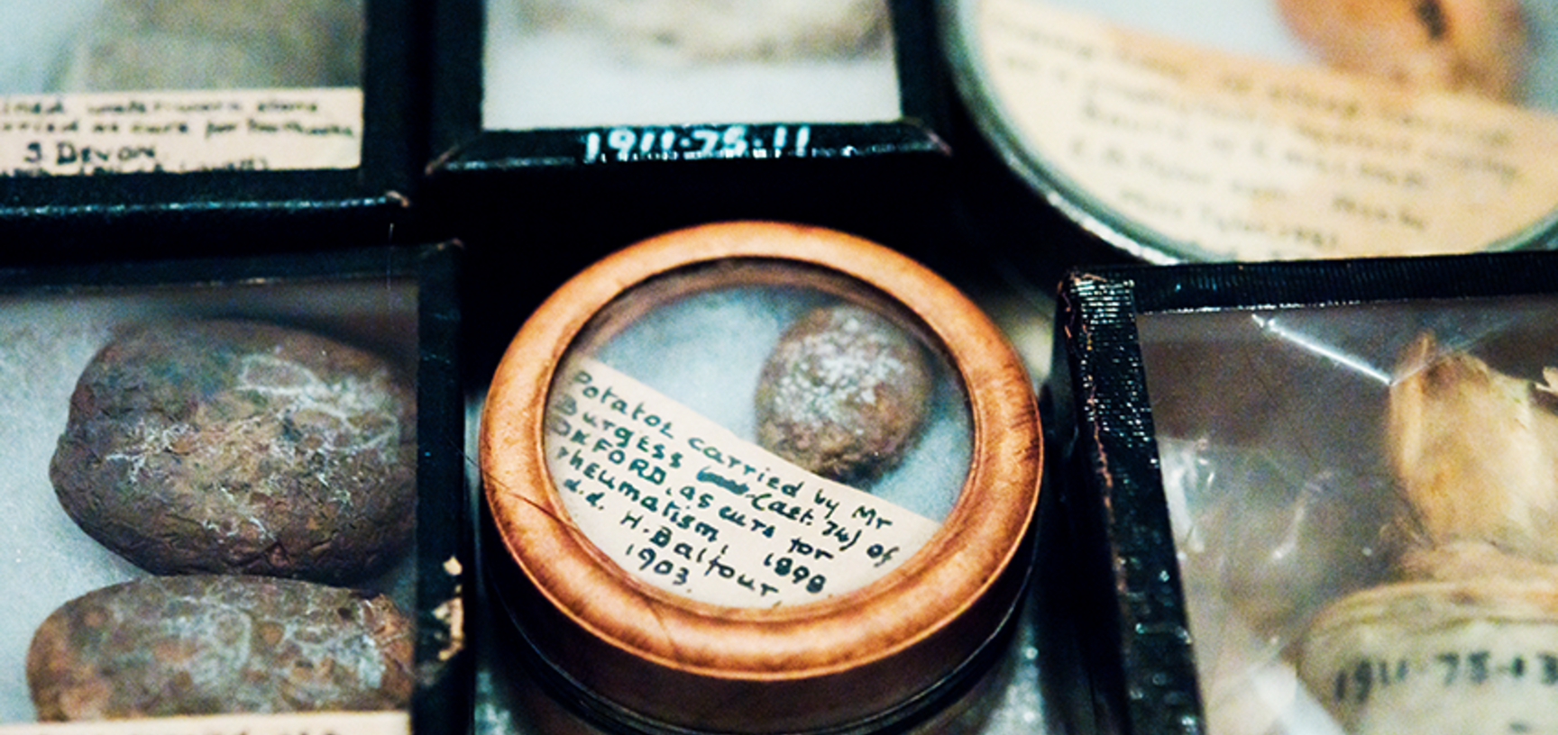 Pitt Rivers collections